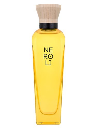 adolfo d neroli mujer v