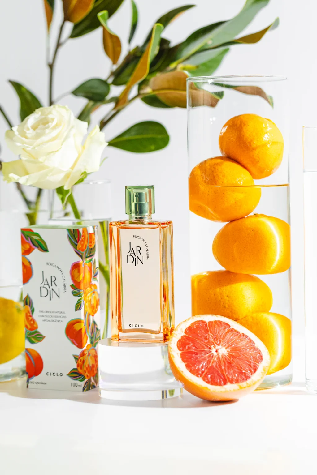 ciclo jardim bergamota da calabria 2