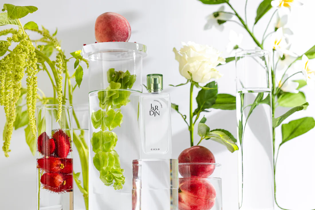 ciclo jardin jasmim sambac 2