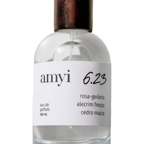 amy 6.23