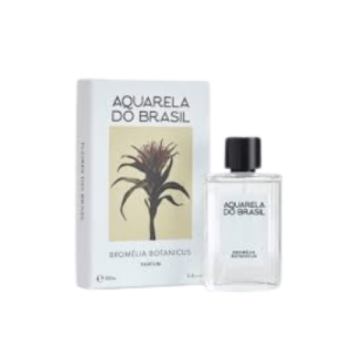 aquareladobrasilbromeliabotanicus.2-rf6yj4u0difqlit5ys5920m1r2sttv7ac34y3xxjnc.png