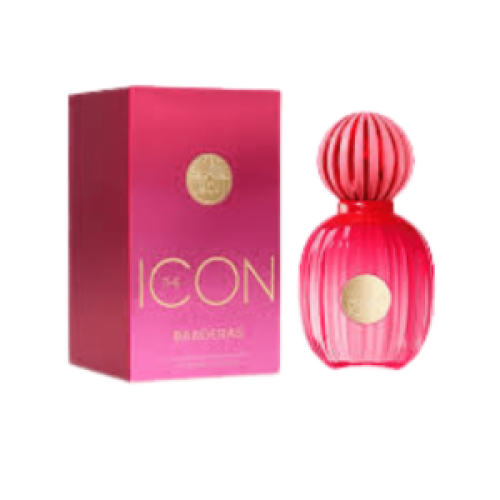 theiconwomen.2-rc5eqnjfdxc74hkhw60j6scce4suclf01r4p45vhdk.png